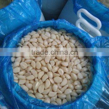 New Crop Salted Garlic - Pickled garlic In Brine(450-550pcs/kg)