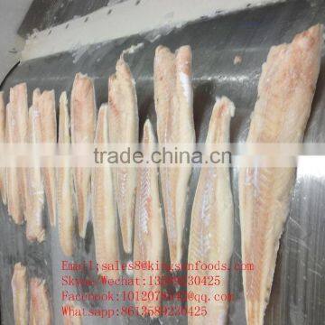 Wholwsale frozen alaska pollock fillet