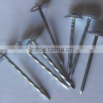 galvanized roofing nails