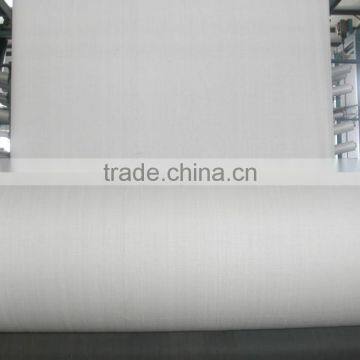 China PP Woven Fabric for Bag photo-3