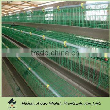 chicken layer cage with powder coated