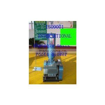 pneumatic transmission roots blower