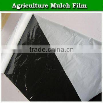 Plastic Perforated Mulching Film for Agriculture