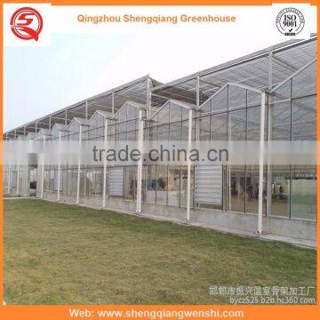 High Quality 12m Multi-span Glass Greenhouse Grow Tent for Vegetables photo-2