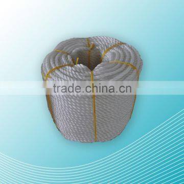 PP Rope photo-6