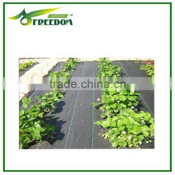 Agricultural Plastic Weed Control Mat / Ground Cover Net photo-5