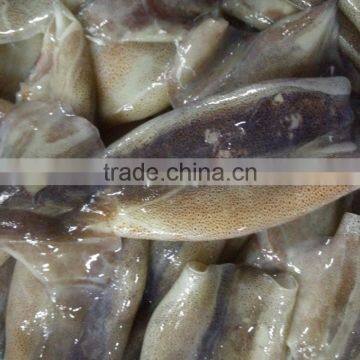 Zhengyuan Frozen Illex Squid Tube photo-3