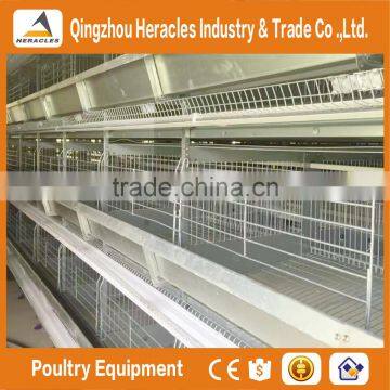 Hercles Automatic Layer Poultry Equipment H Type Layer Chickens Cage for Bangladesh photo-4