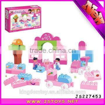 Hot Sale Plastic Castle Building Blocks for Promotion photo-5