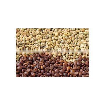 Green Beans Coffee Blend photo-2