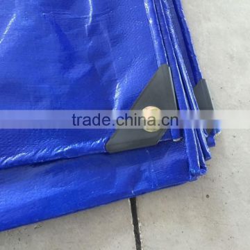 Factory Price Blue Single Colour PE Tarpaulin