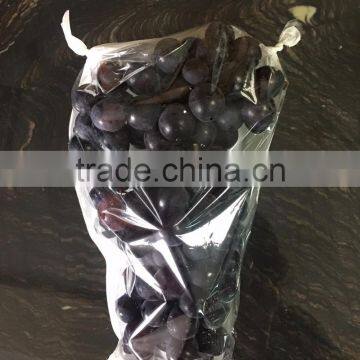 Cheap Grape Packing Cultivating Names of Branded Bags Brand Name Grapes photo-6