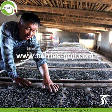 Factory Supply Dried Black Goji photo-4