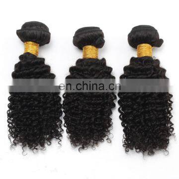 8A Virgin Hair Kinky Curly 100% Natural Original Brazilian Human Hair for Black Women photo-3