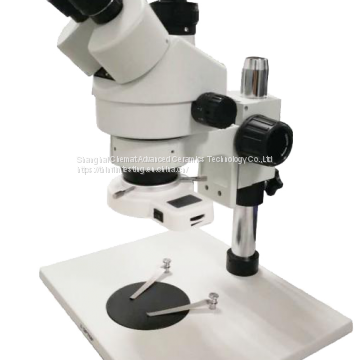 Zoom Stereo Microscope