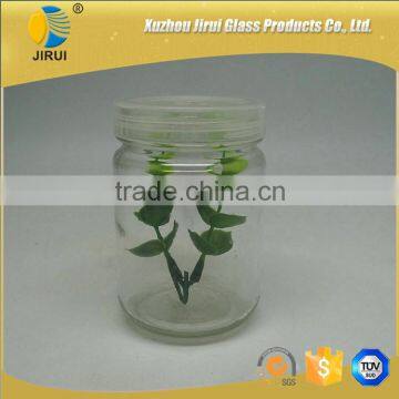 250ml Round Shape Clear Glass Tissue Culture Vessel