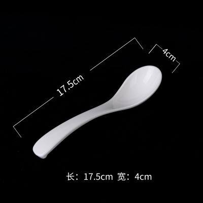Chinese Round Bowl, Square Plate, Spoon Cutlery Set, PLA Biodegradable Durable Glossy Tableware photo-3