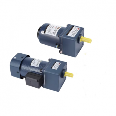 micro AC motor 60W constant speed motor 1400rpm maximum load 200kg 110V/220V