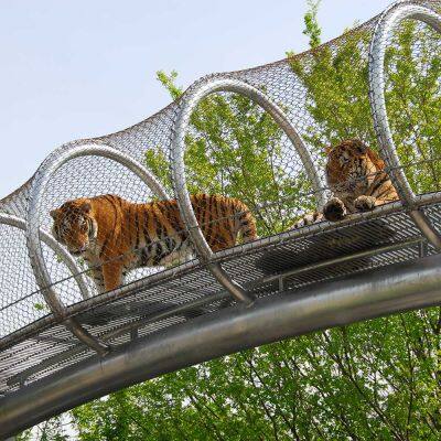 Zoo-specific Ecological Mesh/Tiger Enclosure Mesh/hand-woven Stainless Steel Rope Mesh photo-5