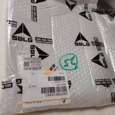 ORIGINAL SDLG 29070010481 BRAKE DISC for SDLG LG936L LG958L Wheel Loader Parts