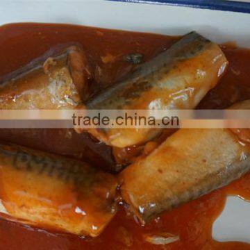 Good Taste Canned Mackerel in Tomato Sauce High Quality photo-2