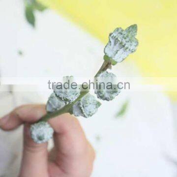 Excellent quality eucalyptus wholesale high quality fresh cut flowers