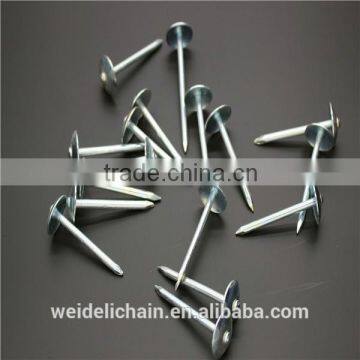 Galvanized Roofing Nails/ Umbrella Roofing Nails photo-4
