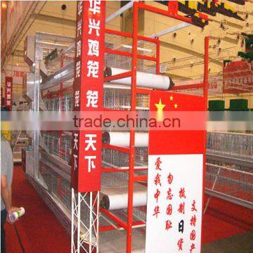 Galvanized / PVC automatic chicken cages,chicken cage proof/poultry farming equipment