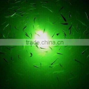 2015 New Products Modern Design LED Fish Lamp photo-5