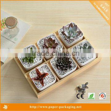 New Design Rectangular Wooden Packaging Box for Succulent Plants