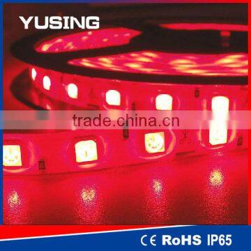 12V 24V 1 Year Warranty 5050 SMD Strip lights LED Nonwaterproof CE TUV