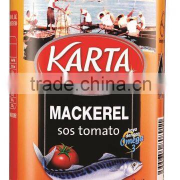 Good Quality Canned Mackerel in Tomato Sauce photo-4