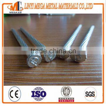 China Nails Factory Wholesale Concrete Nail Sizes Top Quality Angular Spiral Stainless Steel Concrete Nails photo-5