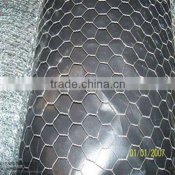 galvanized chicken wire mesh for philippines