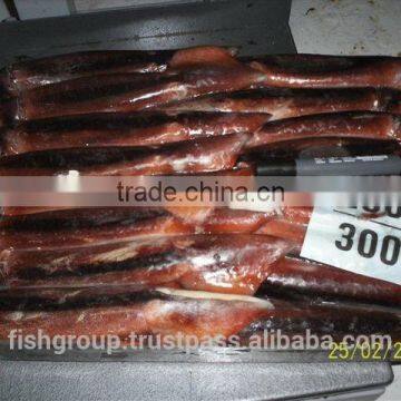 Seafrozen Jigger Illex Squid Whole Round