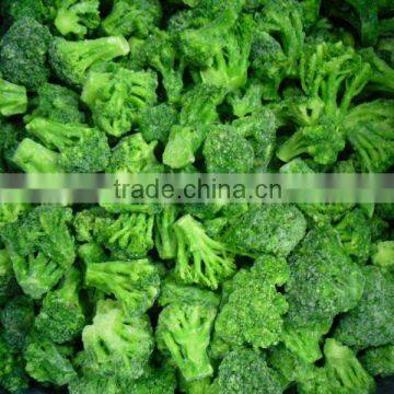 IQF frozen broccoli