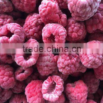 IQF Frozen Raspberry Whole & Piece With Best Price photo-2
