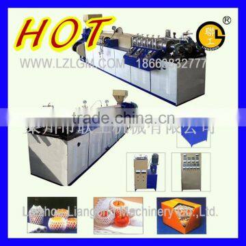 Fruit Packing Net EPE Foam Net Machine/foaming Net Machine
