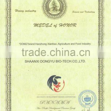 Food Supplement Green Tea Extract 95% Polyphenol Which is Pure and Organic Macha Powder photo-3