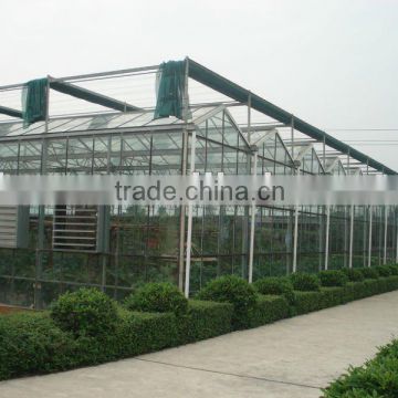 network type kyws 9.6m glass greenhouse