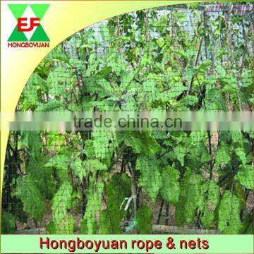 hot sell Anti bird net/Mist bird net/ Anti bird netting