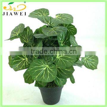 fake bonsai begonia plant