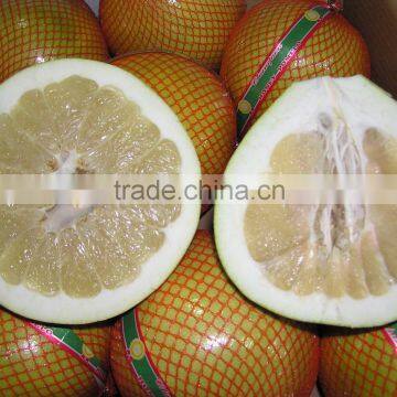 Chinese fresh sweet honey pomelo for selling