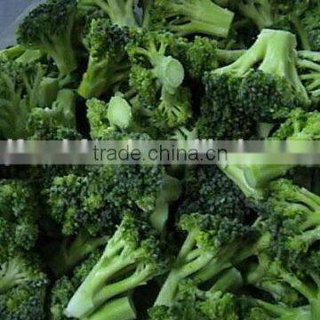 IQF Broccoli photo-6