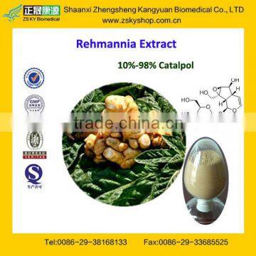 GMP Certified Factory Supply High Quality Catalpol
