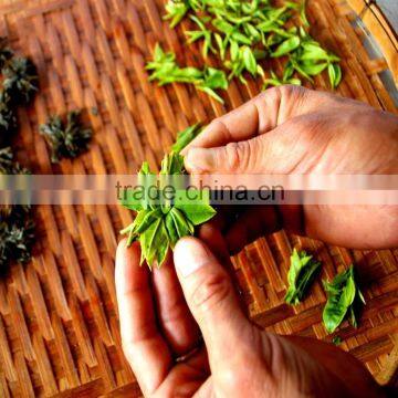Darjeeling Hand Weaved Leaf White Blooming Tea - 2015 Hot Product - Directly From Darjeeling photo-2