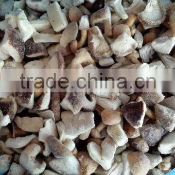 Top Quality China Mushroom With Good Price photo-6