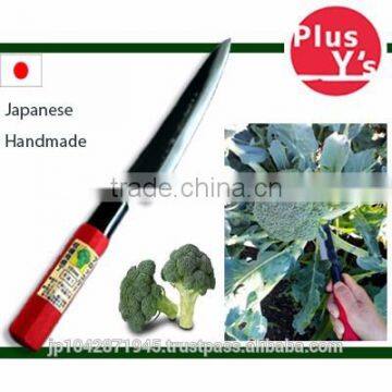 Thin and strong high quality Japanese Knife for harvesting Broccoli