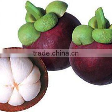 Mangosteen Flavor for Beverages