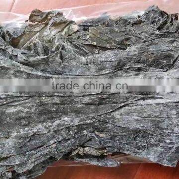 Dried Brown Algae Long Leaf Whole Sheet of Sea Kelp Seaweed for Sale photo-3